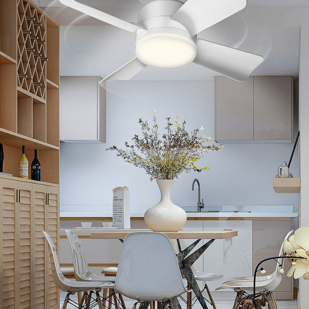 Ventilador + Luz en un solo giro